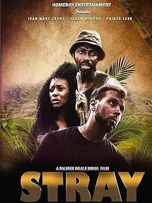 فيلم Stray 2021 مترجم